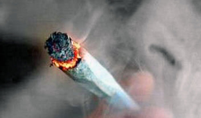 مشروع قانون يسمح لمن فوق هذا السن بتدخين مخدر الزطلة..!!