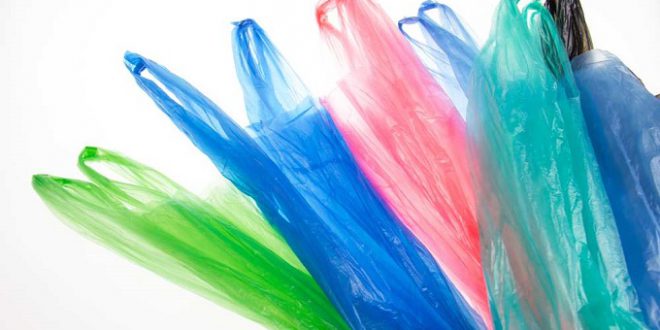 وزيرة البيئة: تجنّبنا إستخدام 5 ملايين كيس بلاستيكي يوميا – المصدر تونس وزيرة البيئة: تجنّبنا إستخدام 5 ملايين كيس بلاستيكي يوميا – المصدر تونس