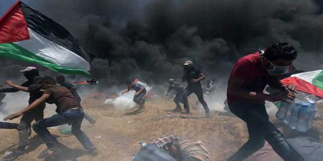 عاجل/استشهاد 8 فلسطينيين في الضفة الغربية.. – المصدر تونس عاجل/استشهاد 8 فلسطينيين في الضفة الغربية.. – المصدر تونس