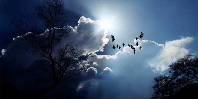 متابعة للوضع الجوي لهذه الليلة 