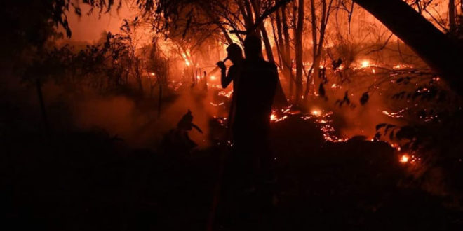 اليونان تشهد أكبر حريق غابات على الإطلاق في أوروبا – المصدر تونس اليونان تشهد أكبر حريق غابات على الإطلاق في أوروبا – المصدر تونس