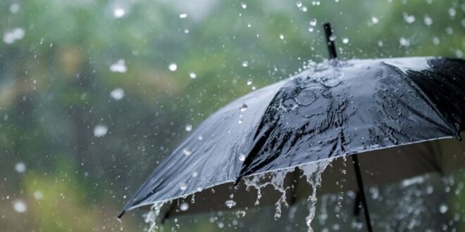 التوقعات الجوية لهذا اليوم..أمطار رعدية 