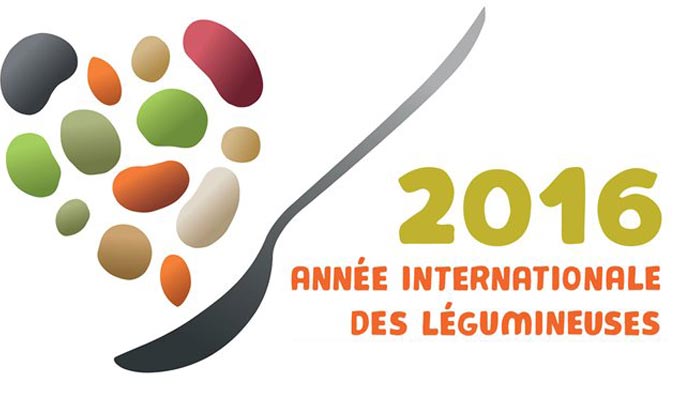2016-annee-legumineuse-nations-unis