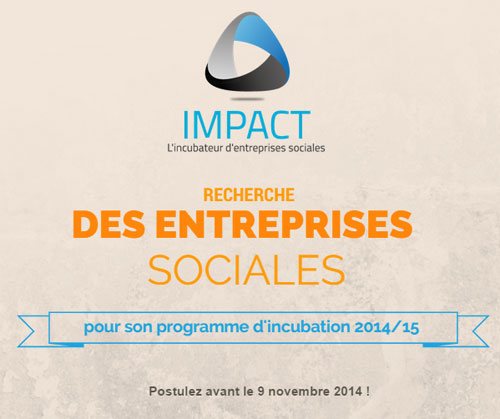 impact-entreprises-sociales-2014