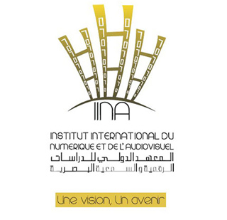 institut-audiovisuel-numerique-2014