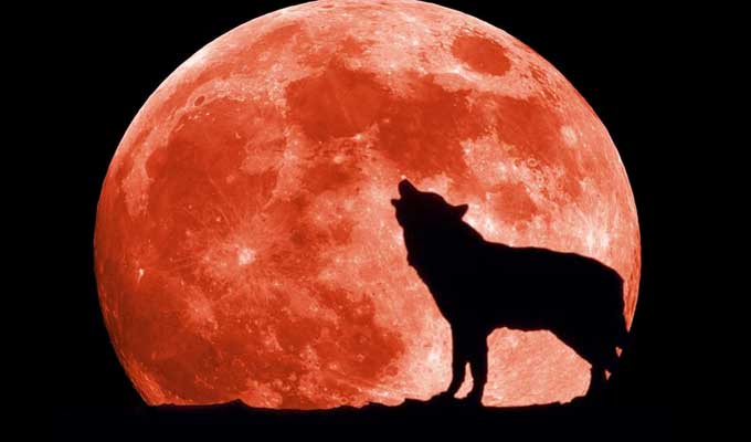 super-moon-wolf