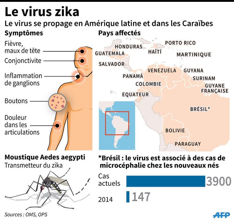 virus zika infographie AFP