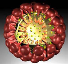 coronavirus-2013