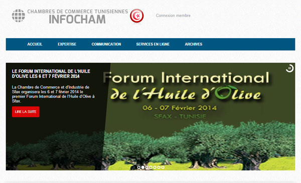 infocham-2013