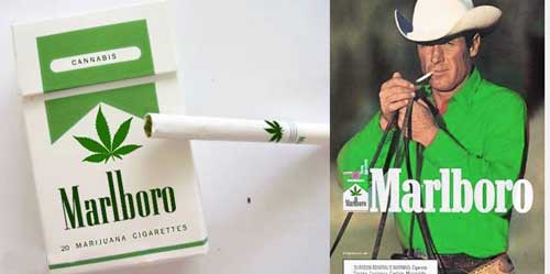 marlboro-cannabis