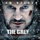 the-grey-film-140