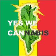 tunisie-cannabis-200212